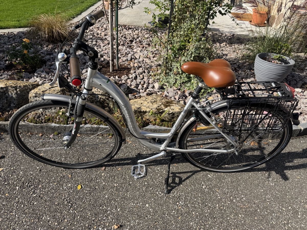 Wheeler Biciclette: Velo Wheeler – Usato da Trimbach venduto da ale5522