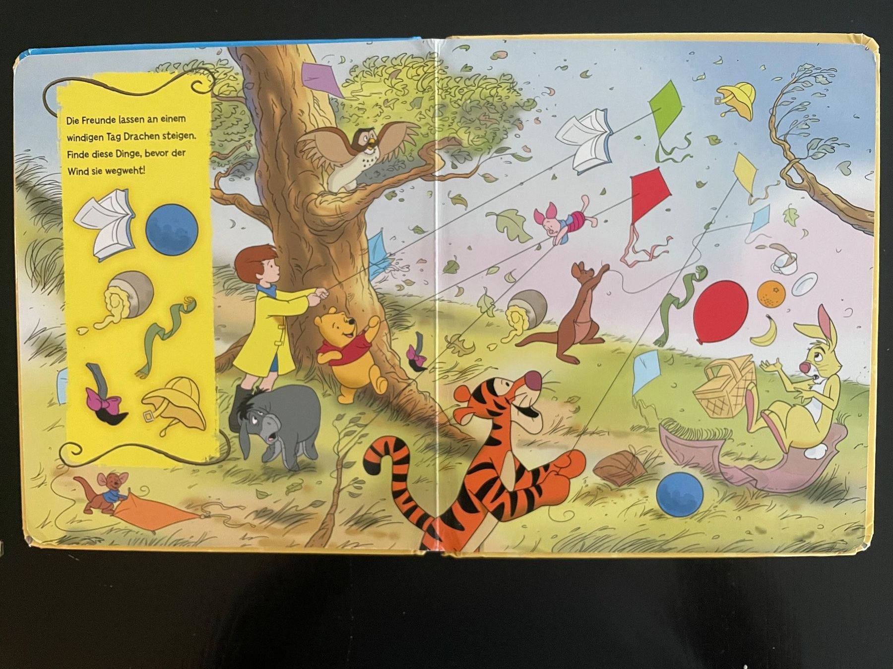 Bücher: Winnie Puuh - Suchen & Entdecken – Gebraucht aus Aarau Rohr von Rokazo 6