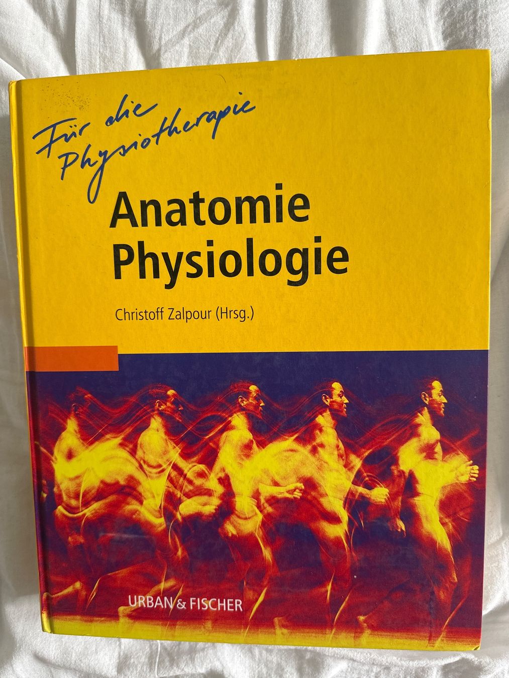 Libri: Anatomie Physiologie – Usato da St. Gallen venduto da mar_c29s
