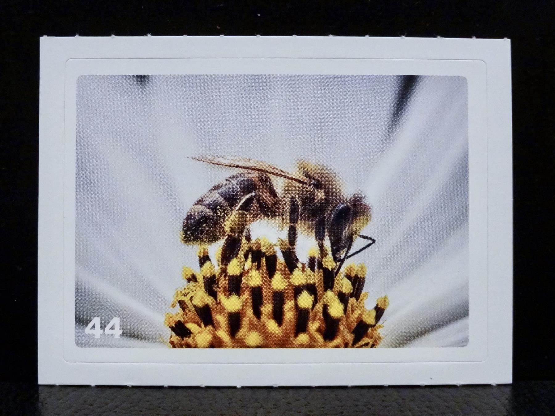 Migros Sammelbilder & Trading cards: MIGROS MANIA Nature Detectives Nr. 44 – Gebraucht aus Kerzers von zimmergruen