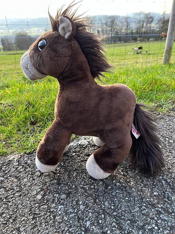 Giocattoli: Stofftier Pferd Kuscheltier – Usato da Bellikon venduto da Ndorfer 1