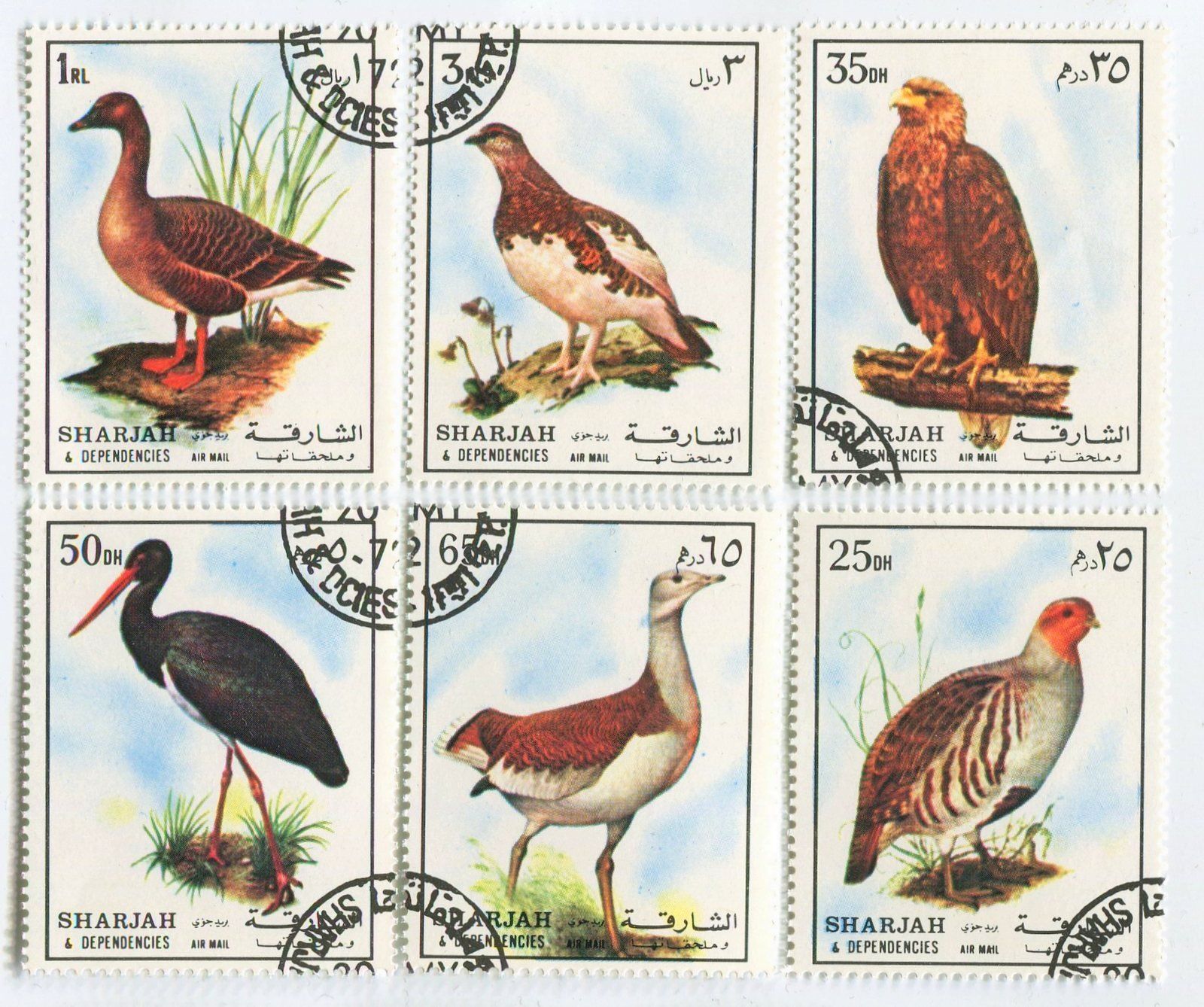 Tutti i francobolli: Briefmarken "Vögel". Schardscha. – Nuovo e nell'imballaggio originale da Basel venduto da Butsch5