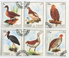 Briefmarken "Vögel". Schardscha.