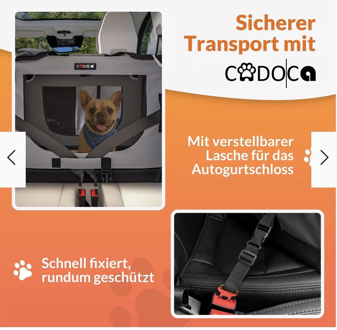 Cucce & Letti: Hundebox – Nuovo (secondo la descrizione) da Wynau venduto da xRahelx 6