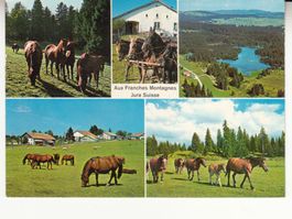 Franches Montagnes 1966, mit Sonderstempel