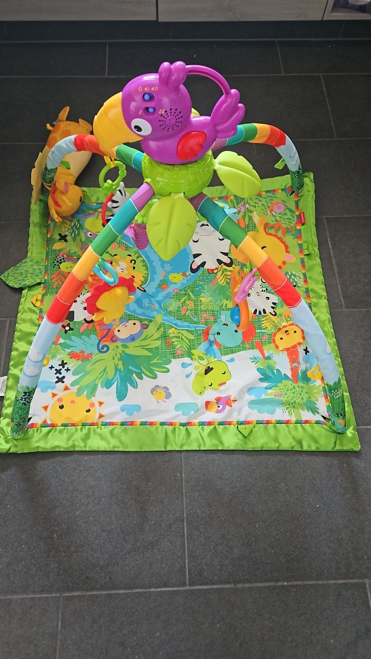 Tiro con l'arco: Spielbogen Fisher Price Rainforest – Usato da Volketswil venduto da lar_di24