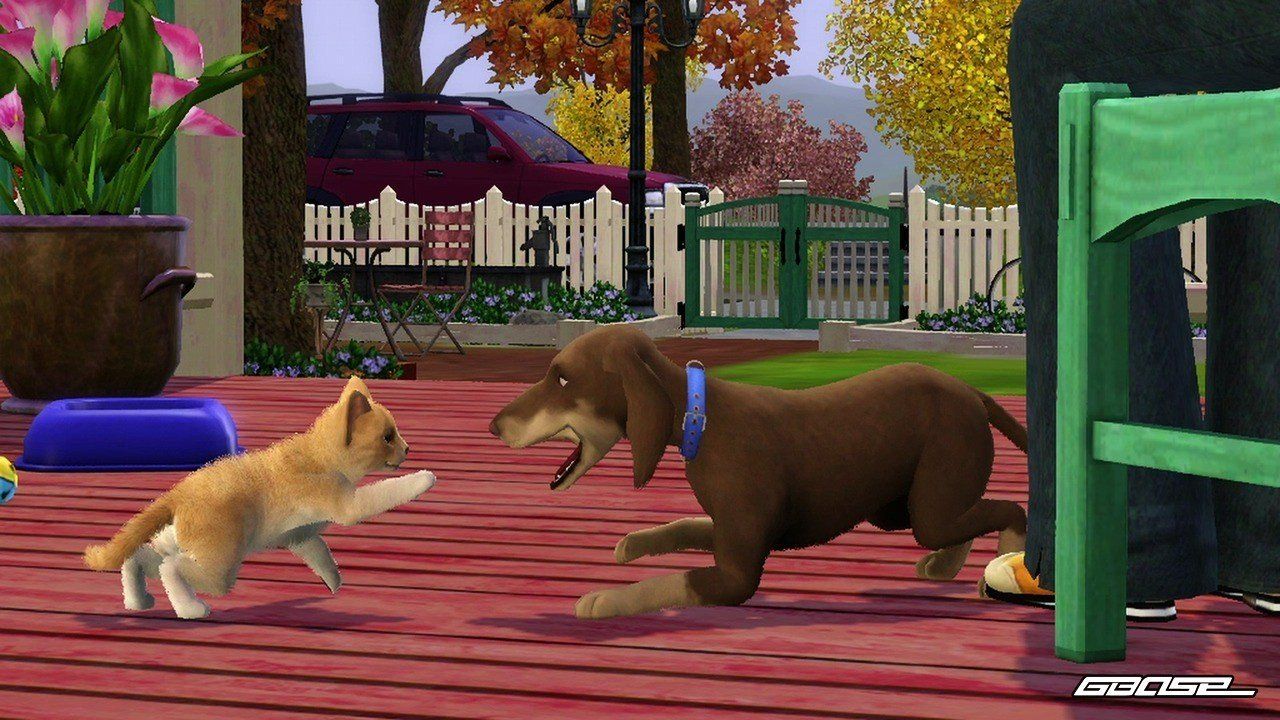 Nintendo Giochi: Die Sims 3 Einfach Tierisch  3DS – Usato da Schüpfheim venduto da Games_Spielkonsolen 2