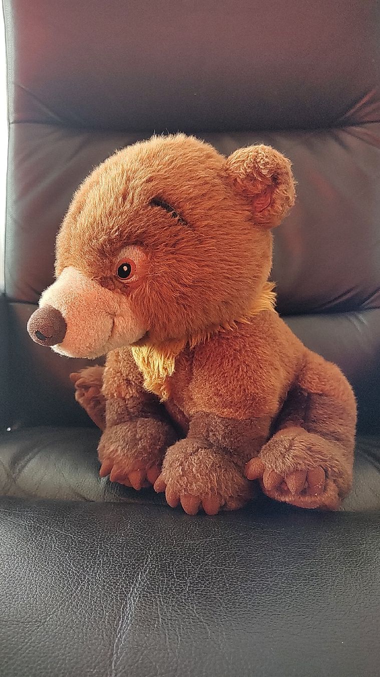 Disney Jouets: Peluche ours brun – D'occasion à Wallisellen par Scoubidou88