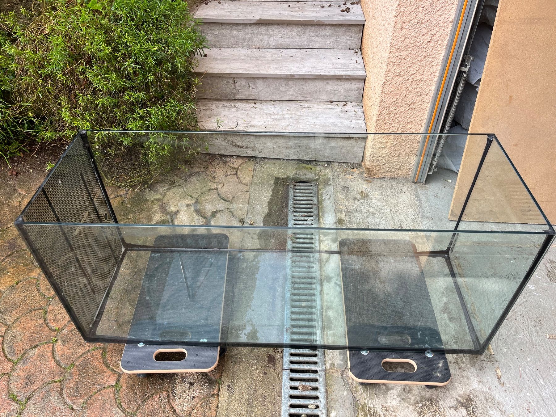 Acquari: Aquarium/ Terrarium – Usato da commugny venduto da Faye03