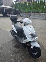 Roller 125 1 jährig 