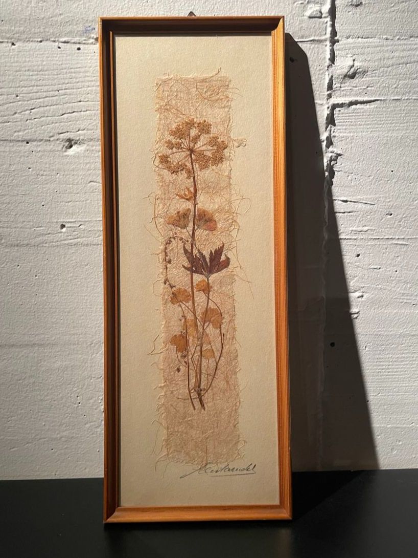 Posters & Illustrations: Original Relly Mailaender Trockenblumen Bild gerahmt – D'occasion à Dietlikon par VintageStudioZurich