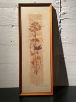 Original Relly Mailaender Trockenblumen Bild gerahmt