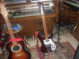 seltener Rickenbacker 480 von 1974