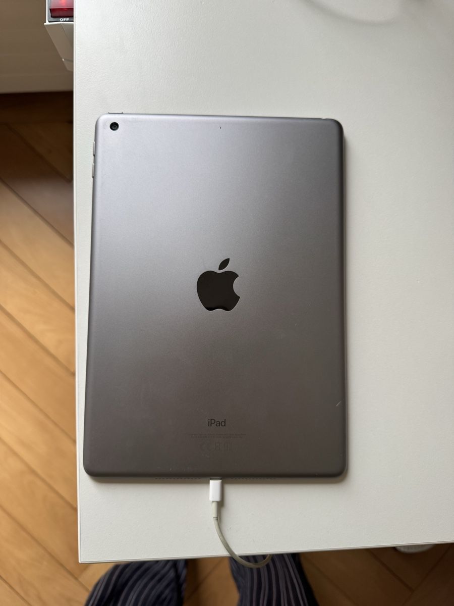 Apple Tablet PC: iPad 6. Generation, 128 GB, Top Zustand, Space Grau – Usato da Zürich venduto da lu.ja 2