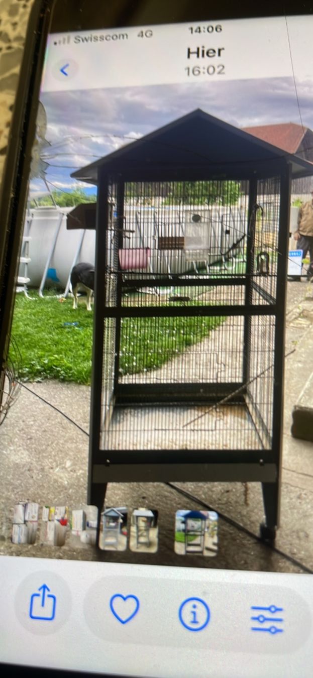 Gabbie, trasporto & Sicurezza: grande cage a oiseau – Usato da Maracon venduto da Caro1613 2