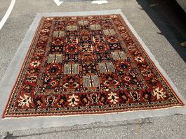 Bakhtiari 305x212cm Teppich geknüpft sauber