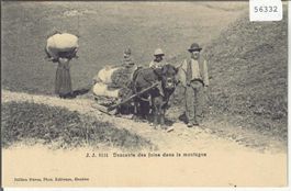 Descente des foins dans la montagne - Ochsenschlitten