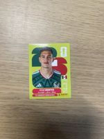 Panini FIFA WC MEX 5