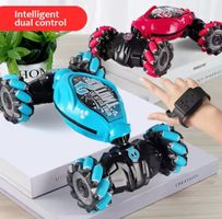 RC Modellauto Spielzeug Mecanum-Räder Fernsteuerung 2.4G Neu