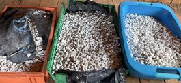 Ziersteine / Kies für den Garten, Menge: 4 Kisten