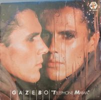 Vinyl-Single Gazebo - Telphone Mama