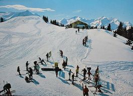 GSTAAD Höhi Wispile - Ski-Läufer