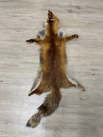 Vintage Rotfuchs Echtfell Ganzfell mit Schweif