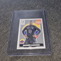 Carte Panini FIFA Moises Caicedo Extra Sticker