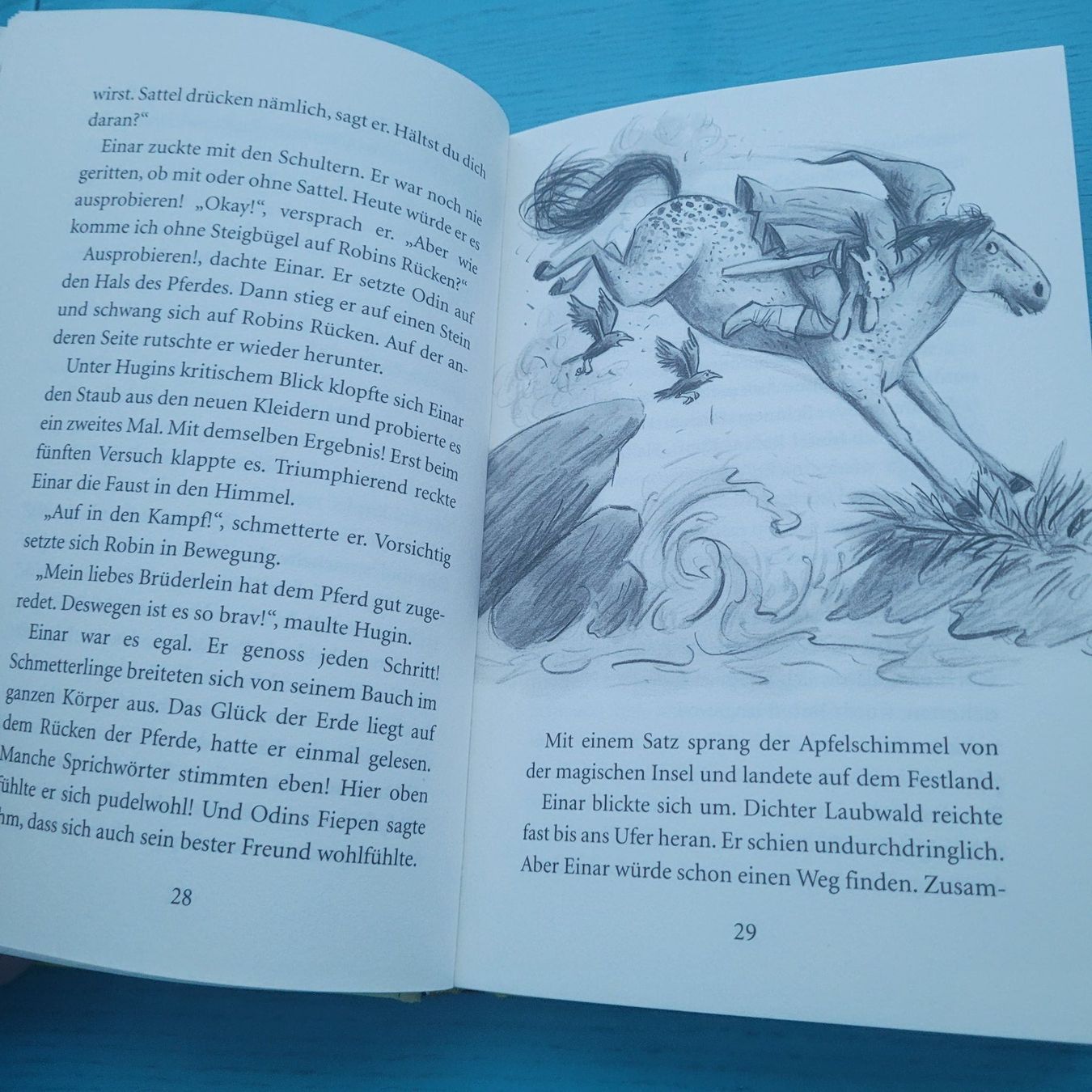Bücher: Die magische Insel/ Der heimliche Ritter - THiLO – Neu (gemäss Beschreibung) aus SCHÜBELBACH von CoKaHa 2