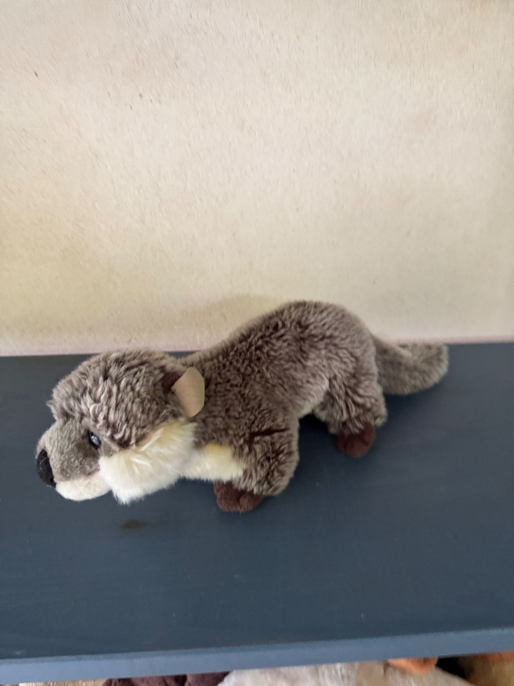 Spielzeuge: Peluche loutre grise – Neu (gemäss Beschreibung) aus Jussy von ali_6d7d