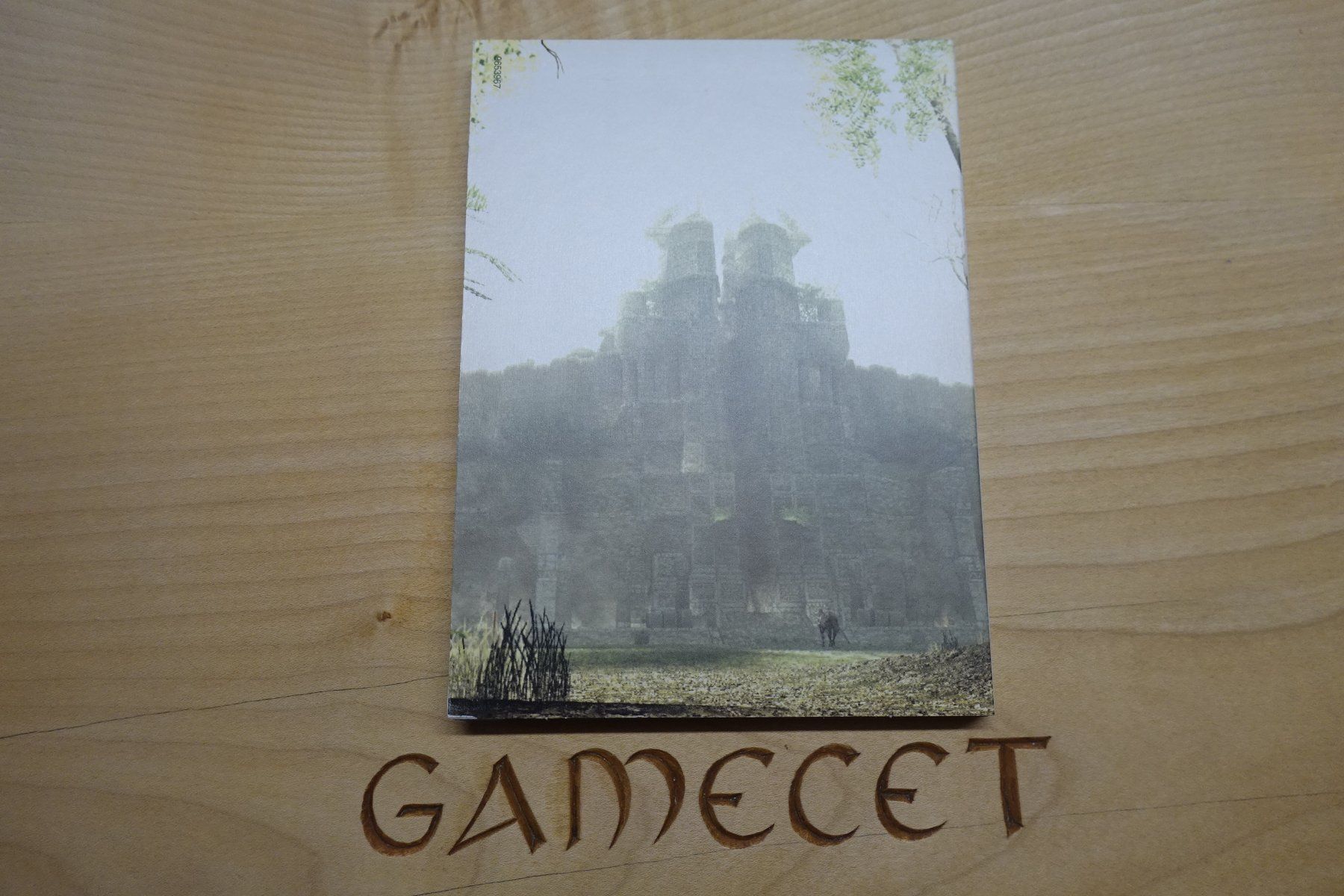 Sony Giochi: Shadow of the Colossus – Usato da Steinach venduto da Gamecet 6