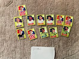 Panini Stickers WM 2026- Gruppe D -12 Bilder
