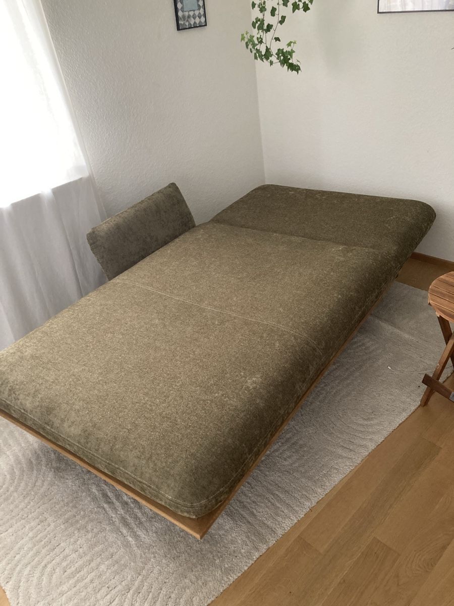Pfister Divani: Designer Sofa – Usato da Winterthur venduto da van_n2kj 2