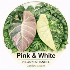 Profile image of Pink_White