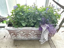 Bepflanztes Blumenkistli