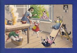 CHAT - Chats humanisés