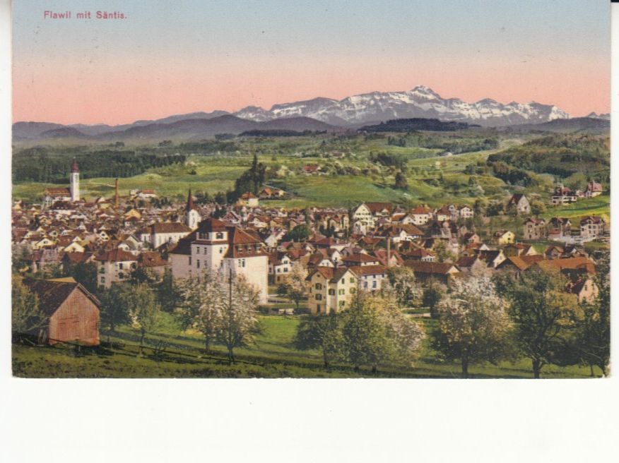 Cartoline postali: Flawil 1921 – Usato da Bürglen TG venduto da StampGraf