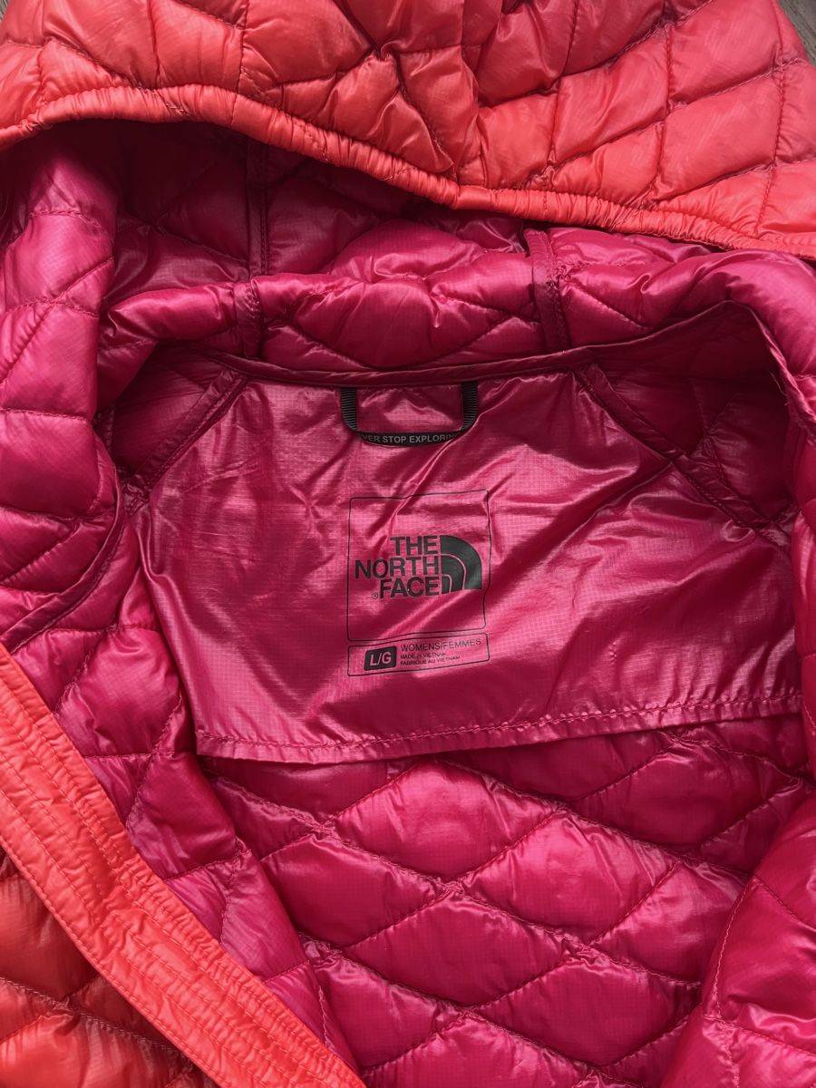 North Face Giacche: North Face Jacke L – Usato da Pfäffikon ZH venduto da Solaria 1