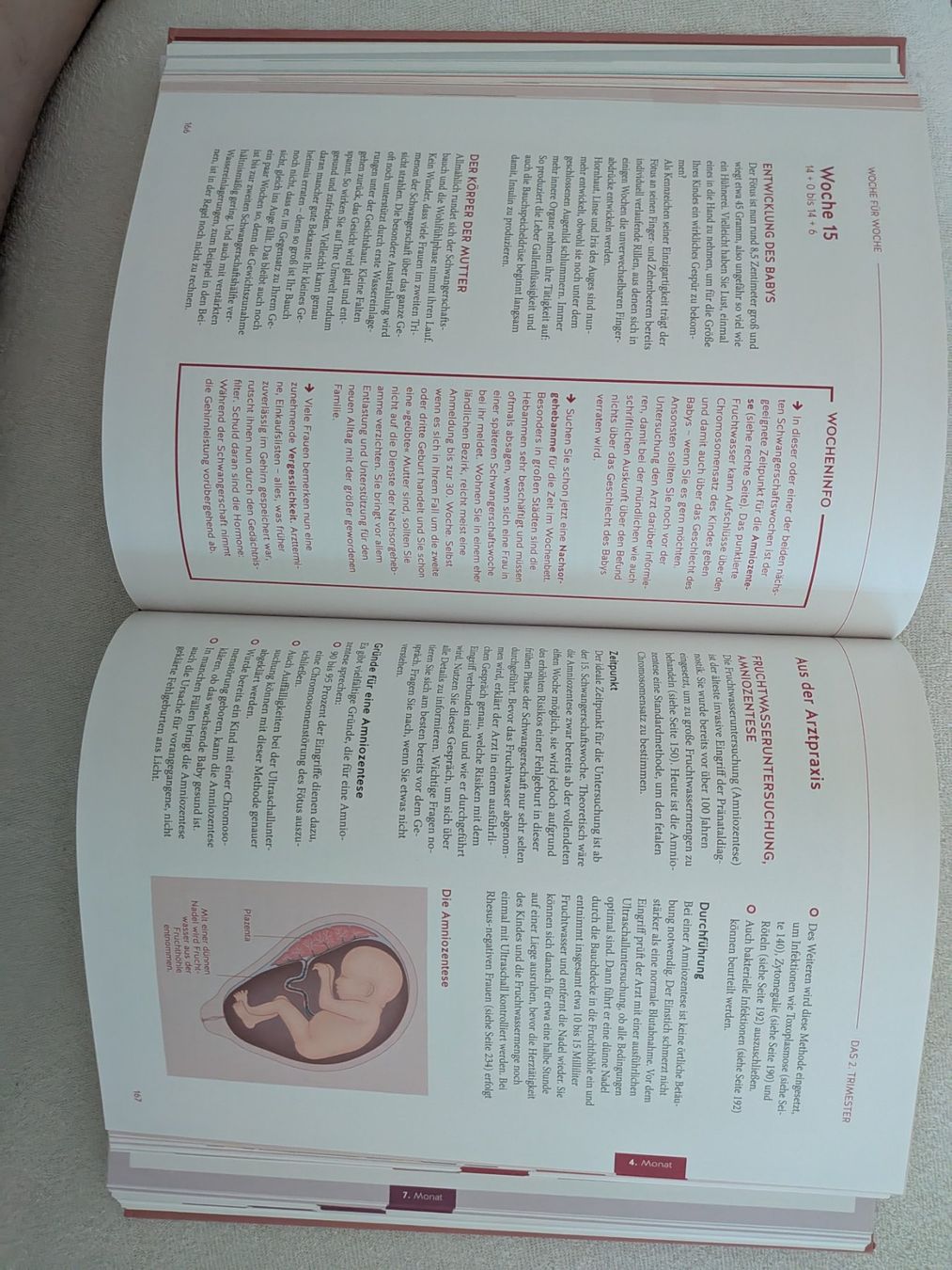 Libri: Schwangerschaftsbuch von GU – Usato da Füllinsdorf venduto da pat_68lg 2