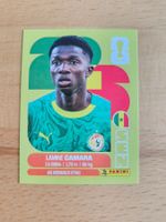 Panini WM 2026 SEN 14