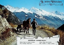 SAINT-PIERRE-DE-CLAGES Bauer mit Pferde-Fuhrwerk