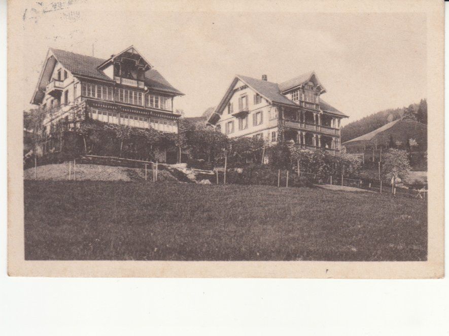 Ansichtskarten: Goldiwil Blüemlisalp 1919 – Gebraucht aus Bürglen TG von StampGraf
