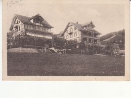 Goldiwil Blüemlisalp 1919