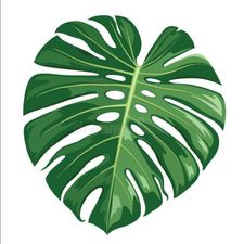 Profile image of greenhellexoticsch
