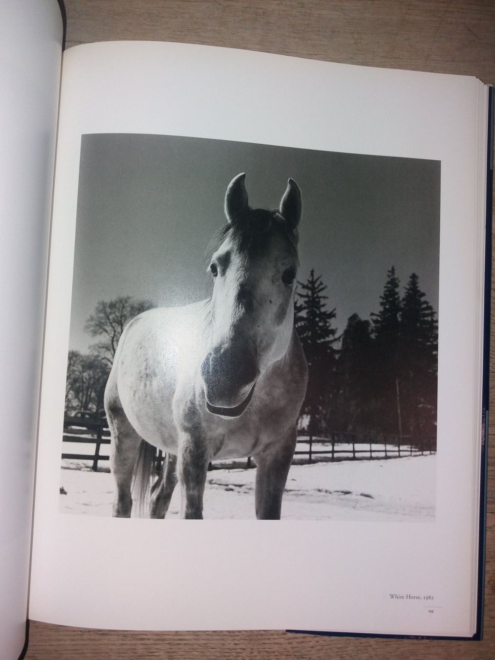 Libri: Peter Hujar Fotoklassiker RETROSPEKTIVE – Usato da Welschenrohr venduto da Regool 2