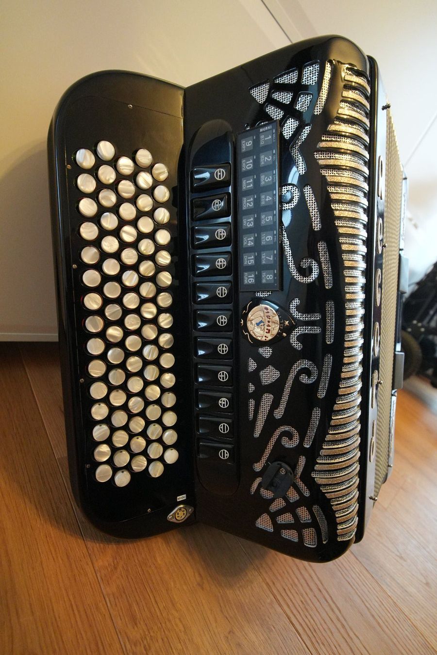 Record Strumenti musicali: Record Ländlerperle – Usato da Bilten venduto da Goertl 1