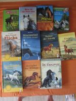 11 Jugend Bücher mit Pferden Geschichten