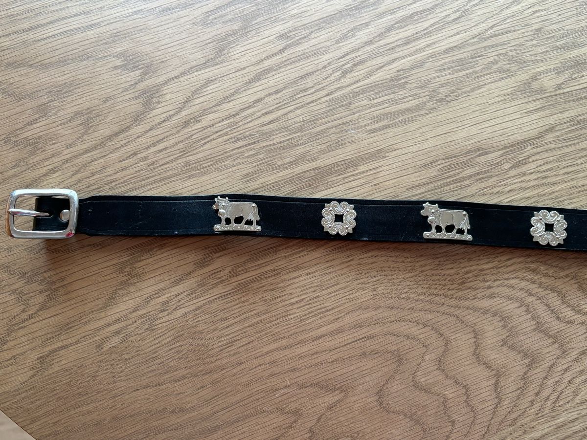 Autres pour enfant & bébé: Appenzeller Gurt – D'occasion à Stettfurt par catwoman7 2