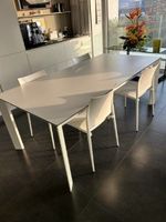 Esstisch mit 4 Designstühlen