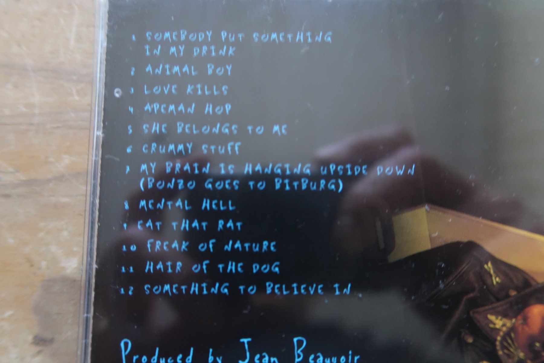 CD: THE RAMONES - ANIMAL BOY - CD – Usato da Basel venduto da Patiscat 2
